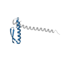 The deposited structure of PDB entry 1t3u contains 4 copies of CATH domain 3.30.160.880 (Double Stranded RNA Binding Domain) in Cell division protein ZapA. Showing 1 copy in chain B.