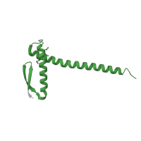 The deposited structure of PDB entry 1t3u contains 4 copies of Pfam domain PF05164 (Cell division protein ZapA) in Cell division protein ZapA. Showing 1 copy in chain B.