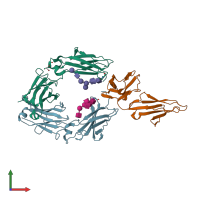 PDB entry 1t83 coloured by chain, front view.