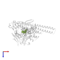 4-ETHYL-4-HYDROXY-1,12-DIHYDRO-4H-2-OXA-6,12A-DIAZA-DIBENZO[B,H]FLUORENE-3,13-DIONE in PDB entry 1t8i, assembly 1, top view.