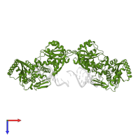 CCA-adding enzyme in PDB entry 1tfw, assembly 1, top view.