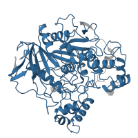 The deposited structure of PDB entry 1trh contains 1 copy of Pfam domain PF00135 (Carboxylesterase family) in Lipase 1. Showing 1 copy in chain A.