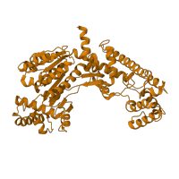 The deposited structure of PDB entry 1tt5 contains 2 copies of SCOP domain 89763 (Ubiquitin activating enzymes (UBA)) in NEDD8-activating enzyme E1 regulatory subunit. Showing 1 copy in chain A.