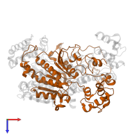 NEDD8-activating enzyme E1 catalytic subunit in PDB entry 1tt5, assembly 2, top view.