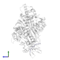 NEDD8-conjugating enzyme Ubc12 in PDB entry 1tt5, assembly 2, side view.