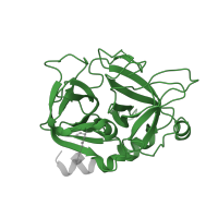 The deposited structure of PDB entry 1twx contains 1 copy of Pfam domain PF00089 (Trypsin) in Thrombin heavy chain. Showing 1 copy in chain B.