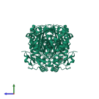 HMG-CoA synthase in PDB entry 1txt, assembly 1, side view.