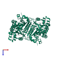 HMG-CoA synthase in PDB entry 1txt, assembly 1, top view.