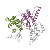 The deposited structure of PDB entry 1u2v contains 2 copies of CATH domain 3.30.420.40 (Nucleotidyltransferase; domain 5) in Actin-related protein 3. Showing 2 copies in chain A.