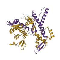 The deposited structure of PDB entry 1u2v contains 2 copies of Pfam domain PF00022 (Actin) in Actin-related protein 3. Showing 2 copies in chain A.