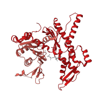 The deposited structure of PDB entry 1u2v contains 2 copies of SCOP domain 53068 (Actin/HSP70) in Actin-related protein 3. Showing 2 copies in chain A.