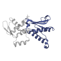 The deposited structure of PDB entry 1u2v contains 1 copy of CATH domain 3.30.420.40 (Nucleotidyltransferase; domain 5) in Actin-related protein 2. Showing 1 copy in chain B.