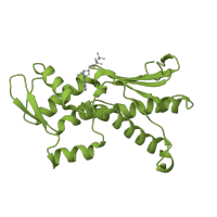 The deposited structure of PDB entry 1u2v contains 1 copy of Pfam domain PF00022 (Actin) in Actin-related protein 2. Showing 1 copy in chain B.