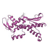 The deposited structure of PDB entry 1u2v contains 1 copy of SCOP domain 53068 (Actin/HSP70) in Actin-related protein 2. Showing 1 copy in chain B.