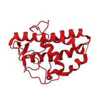 The deposited structure of PDB entry 1u2v contains 1 copy of CATH domain 1.10.1760.10 (Arp2/3 complex 21 kDa subunit ARPC3) in Actin-related protein 2/3 complex subunit 3. Showing 1 copy in chain E.