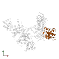Actin-related protein 2 in PDB entry 1u2v, assembly 2, front view.