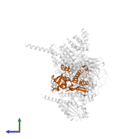 Actin-related protein 2 in PDB entry 1u2v, assembly 2, side view.