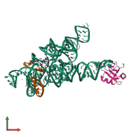 PDB entry 1u6b coloured by chain, front view.