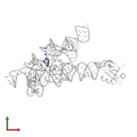 5'-R(*CP*AP*(5MU))-3' in PDB entry 1u6b, assembly 1, front view.