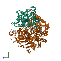 PDB entry 1ubh coloured by chain, side view.