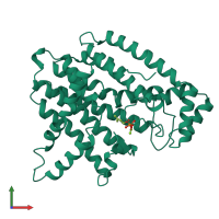 PDB entry 1uby coloured by chain, front view.