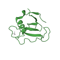 The deposited structure of PDB entry 1ucl contains 2 copies of SCOP domain 81307 (Bacterial ribonucleases) in Guanyl-specific ribonuclease Sa. Showing 1 copy in chain A.