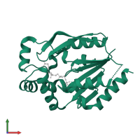 Uridine-cytidine kinase 2 in PDB entry 1uei, assembly 1, front view.