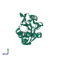 Uridine-cytidine kinase 2 in PDB entry 1uei, assembly 1, side view.