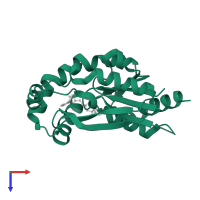 Uridine-cytidine kinase 2 in PDB entry 1uei, assembly 1, top view.