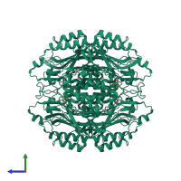 Homo tetrameric assembly 1 of PDB entry 1uf7 coloured by chemically distinct molecules, side view.