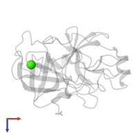 CALCIUM ION in PDB entry 1uhb, assembly 1, top view.