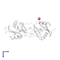2-acetamido-2-deoxy-beta-D-glucopyranose in PDB entry 1ukm, assembly 1, top view.