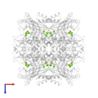 MAGNESIUM ION in PDB entry 1umg, assembly 1, top view.