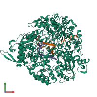 PDB entry 1uon coloured by chain, front view.