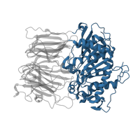 The deposited structure of PDB entry 1uoq contains 1 copy of CATH domain 3.40.50.1820 (Rossmann fold) in Prolyl endopeptidase. Showing 1 copy in chain A.