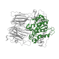 The deposited structure of PDB entry 1uoq contains 1 copy of Pfam domain PF00326 (Prolyl oligopeptidase family) in Prolyl endopeptidase. Showing 1 copy in chain A.