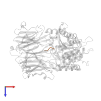 PEPTIDE LIGAND GLU-PHE-SER-PRO in PDB entry 1uoq, assembly 1, top view.