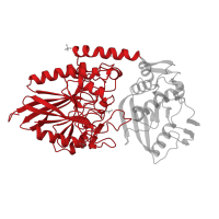 The deposited structure of PDB entry 1ush contains 1 copy of CATH domain 3.60.21.10 (Purple Acid Phosphatase; chain A, domain 2) in Protein UshA. Showing 1 copy in chain A.