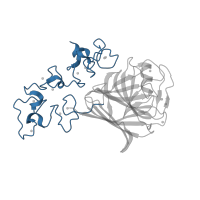 The deposited structure of PDB entry 1ux6 contains 1 copy of CATH domain 4.10.1080.10 (TSP type-3 repeat) in Thrombospondin-1. Showing 1 copy in chain A.