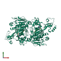 Homo dimeric assembly 1 of PDB entry 1v26 coloured by chemically distinct molecules, front view.