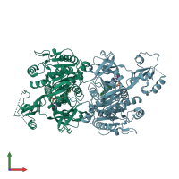 PDB entry 1v26 coloured by chain, front view.