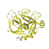 The deposited structure of PDB entry 1v3x contains 1 copy of Pfam domain PF00089 (Trypsin) in Activated factor Xa heavy chain. Showing 1 copy in chain A.