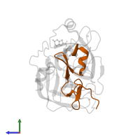 Factor X light chain in PDB entry 1v3x, assembly 1, side view.