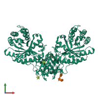 Homo dimeric assembly 1 of PDB entry 1v6w coloured by chemically distinct molecules, front view.