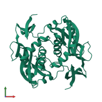 Adenine phosphoribosyltransferase in PDB entry 1vch, assembly 2, front view.