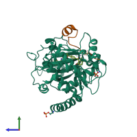 PDB entry 1veb coloured by chain, side view.