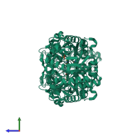 Homo dimeric assembly 1 of PDB entry 1vfh coloured by chemically distinct molecules, side view.