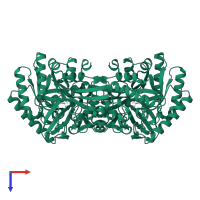 Alanine racemase in PDB entry 1vfh, assembly 1, top view.