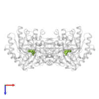 PYRIDOXAL-5'-PHOSPHATE in PDB entry 1vfh, assembly 1, top view.