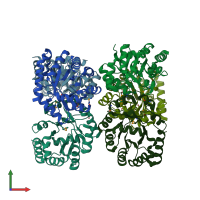 PDB entry 1vhc coloured by chain, front view.